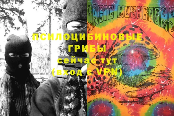 a pvp Алексин